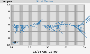 Wind Vector